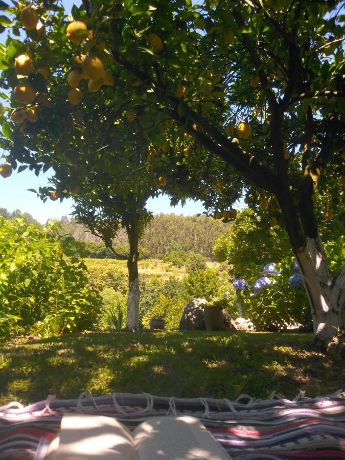 Quinta Da Chanca باريديس دي كورا المظهر الخارجي الصورة