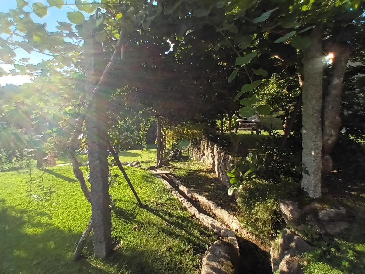 Quinta Da Chanca باريديس دي كورا المظهر الخارجي الصورة