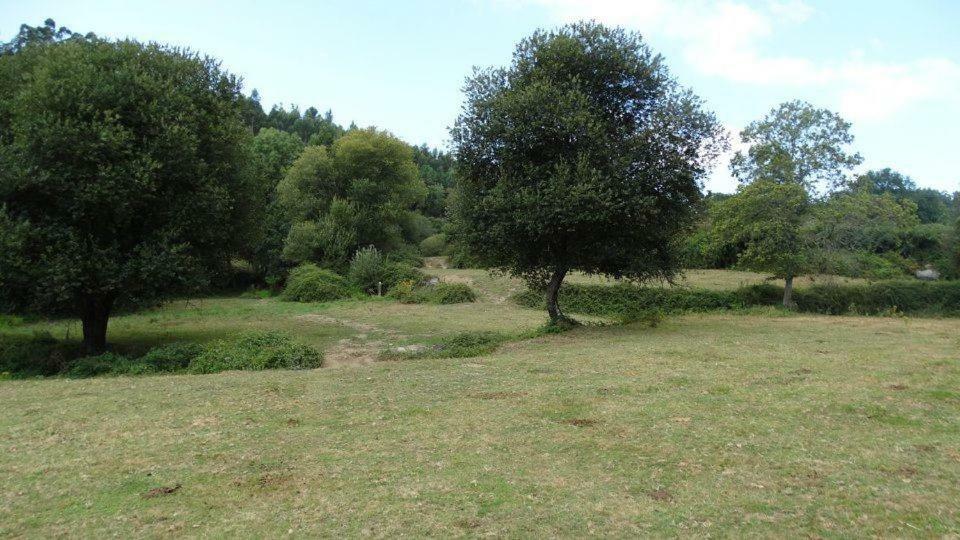 Quinta Da Chanca باريديس دي كورا المظهر الخارجي الصورة